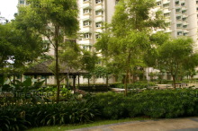 bukit-batok-west-avenue-5 photo thumbnail #7